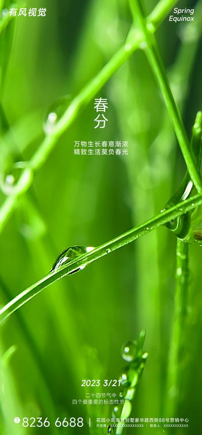 南门网 二十四节气春分海报