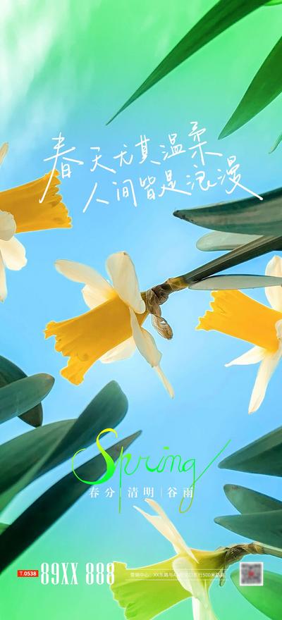 南门网 广告 海报 节气 春分 谷雨 清明 唯美 鲜花