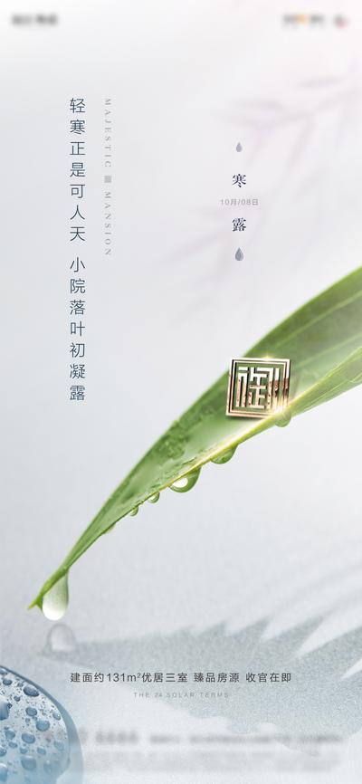 【南门网】广告 海报 节气 寒露 品质 雨滴 品质 简约
