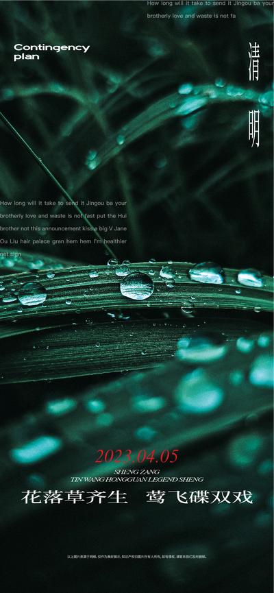 南门网 广告 海报 节日 清明 树叶 水滴 微距 简约 品质