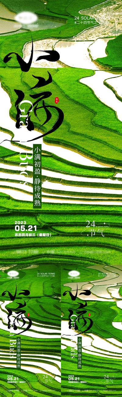 南门网 海报 二十四节气 小满 芒种 宣传 中国传统节日 夏天 中国二十四节气 24节气 稻谷