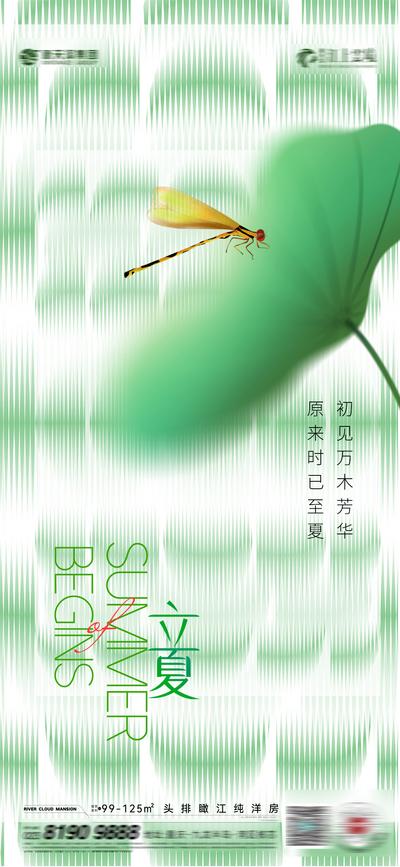 南门网 广告 海报 节气 立夏 蜻蜓 创意 简约 品质