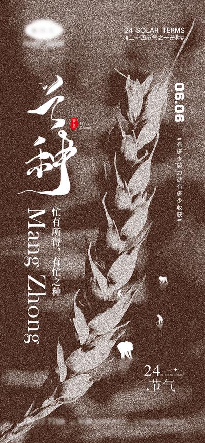 南门网 海报 二十四节气 小满 芒种 宣传 中国传统节日 夏天 中国二十四节气 24节气 稻谷 稻子