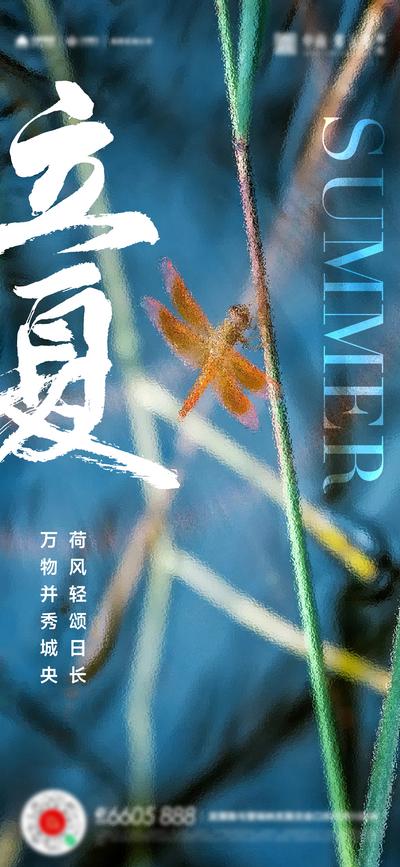 南门网 广告 海报 节气 立夏 蜻蜓 磨砂 书法字