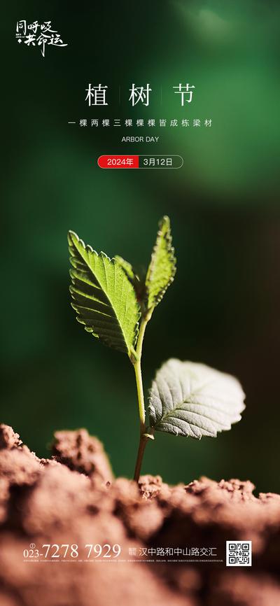 南门网 广告 海报 节日 植树节 树苗 土壤