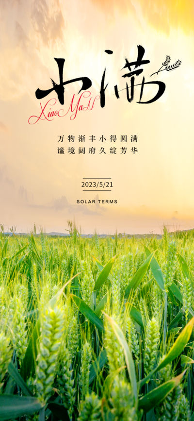 南门网 广告 房地产 二十四节气 小满 麦种 小麦 水稻 麦田 风景 田野 夏天