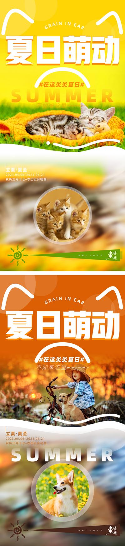 南门网 广告 海报 系列 动物 猫 狗 夏季