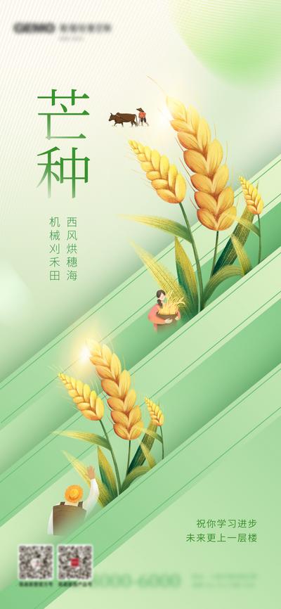 南门网 广告 海报 节气 芒种 麦子 麦穗 插画 简约