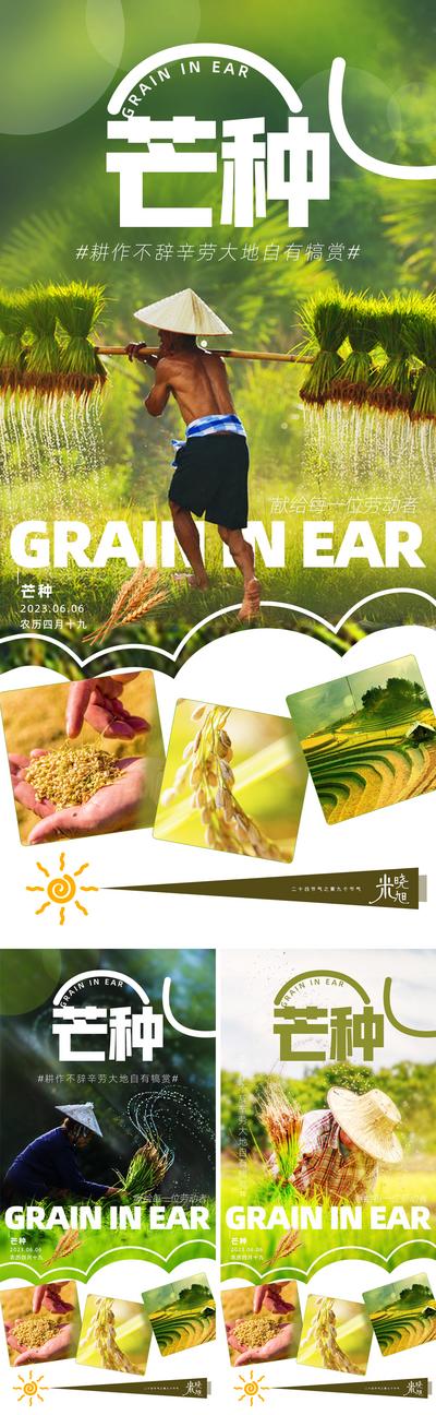 南门网 广告 海报 地产 芒种 人物 系列 芒种 传统二十四节气 水稻 传播 丰收