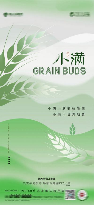 南门网 广告 海报 节气 小满 麦子 麦穗 品质