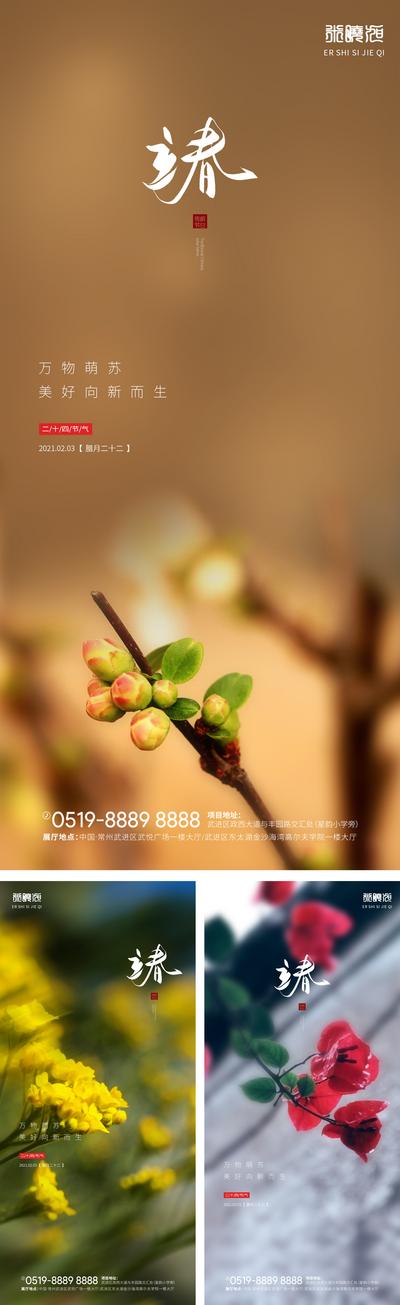 南门网 广告 海报 系列 立春 传统节气 迎春花 三角梅 油菜花