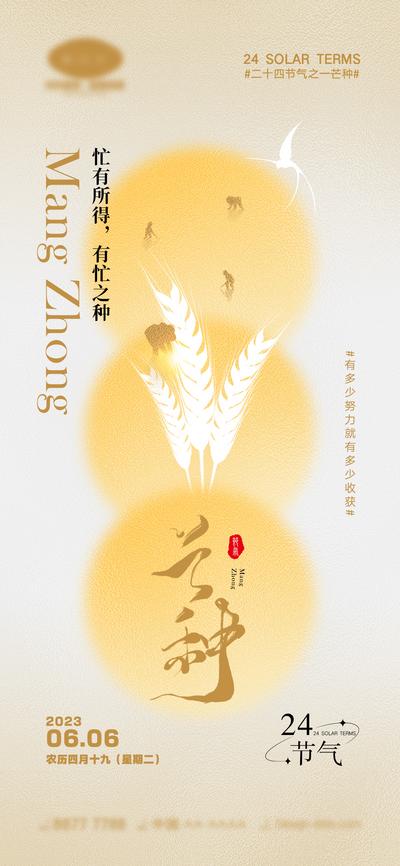 南门网 海报 二十四节气 小满 芒种 宣传 中国传统节日 夏至 小暑 大暑 夏天 中国二十四节气 24节气 稻谷 稻子