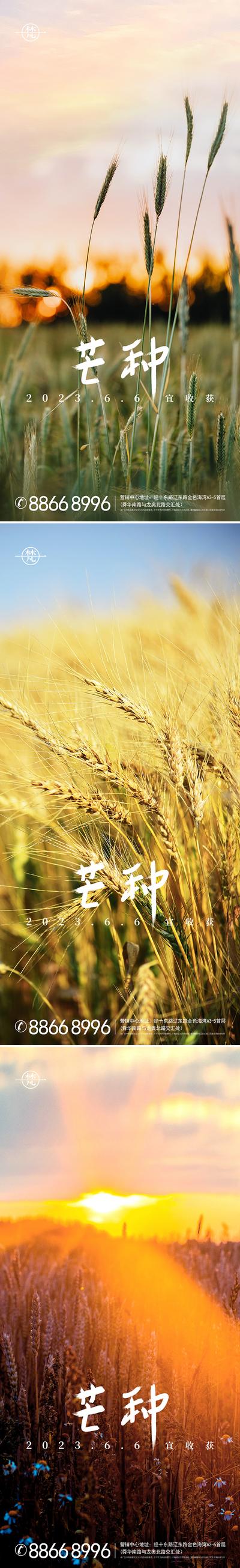 南门网 海报 地产 节气 芒种 大满 唯美 麦子 微信稿 风景