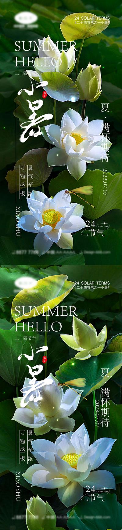 南门网 海报 系列 二十四节气 立夏 夏至 小暑 大暑 夏天 西瓜 阳光 初夏 昆虫