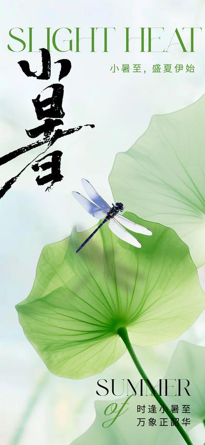南门网 广告 海报 插画 小暑 二十四节气 荷花 蜻蜓