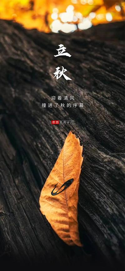 南门网 广告 海报 节气 立秋 插画 枫叶 大气 树干