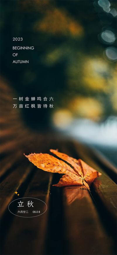 南门网 广告 海报 节气 立秋 秋天 公园 枫叶