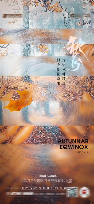 南门网 广告 海报 节气 秋分 色彩 叶子 地产旋转 落叶