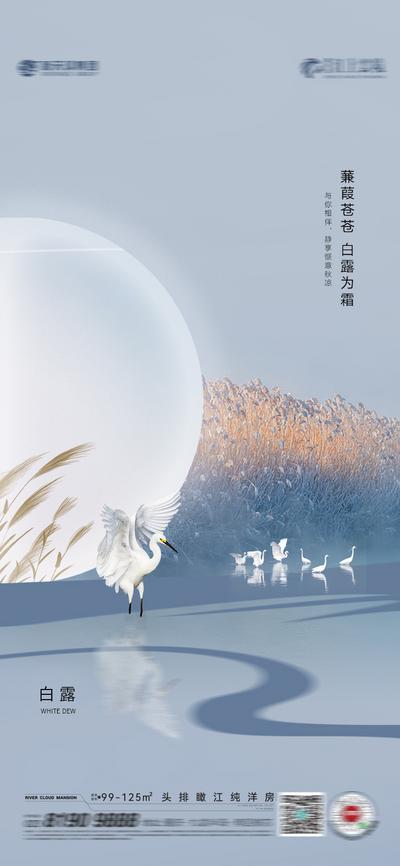 南门网 广告 海报 地产 白露 节气 唯美 白鹭 鸟