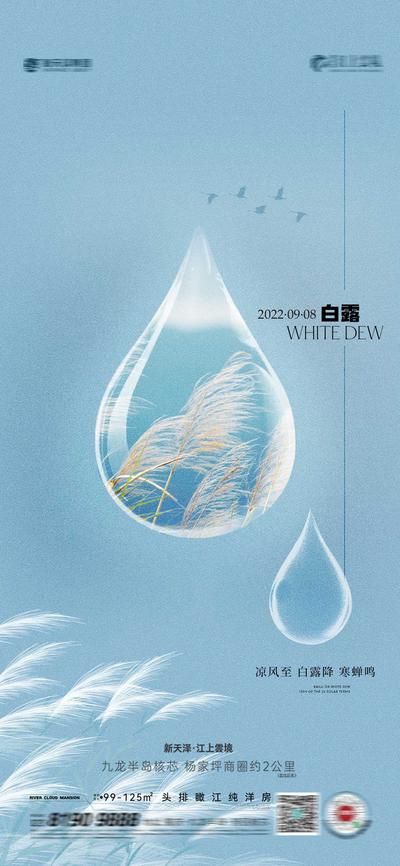 【南门网】广告 海报 节气 白露 秋分 水滴 草 剪影