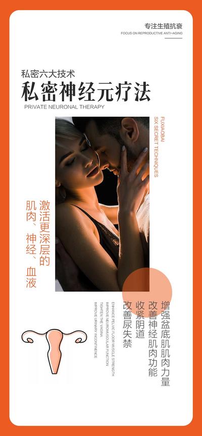 南门网 中国风 私密 技术 神经元 专业 培训 项目 私护 杂志风 高级感 简约 两性 性感