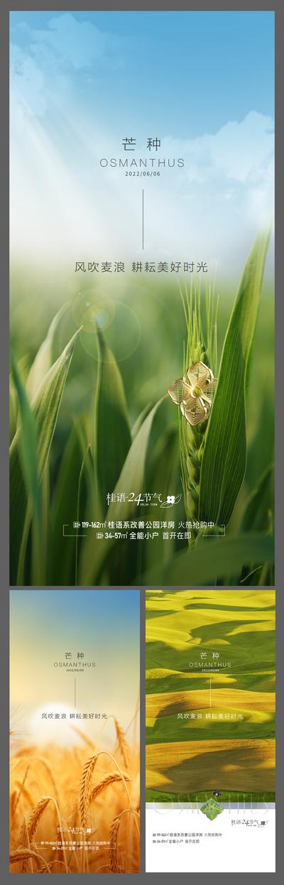 南门网 广告 海报 地产 芒种 节气 麦子 小满 简约 清新 品质