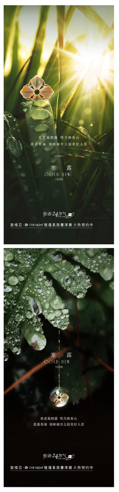 南门网 广告 海报 节气 寒露 露珠 树叶 系列 简约 自然