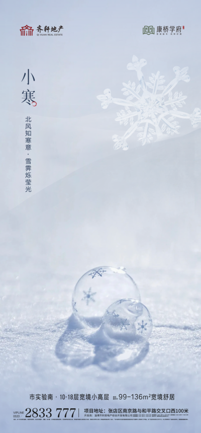 南门网 广告 海报 地产 小寒 节气 大寒 雪 雪花 微距
