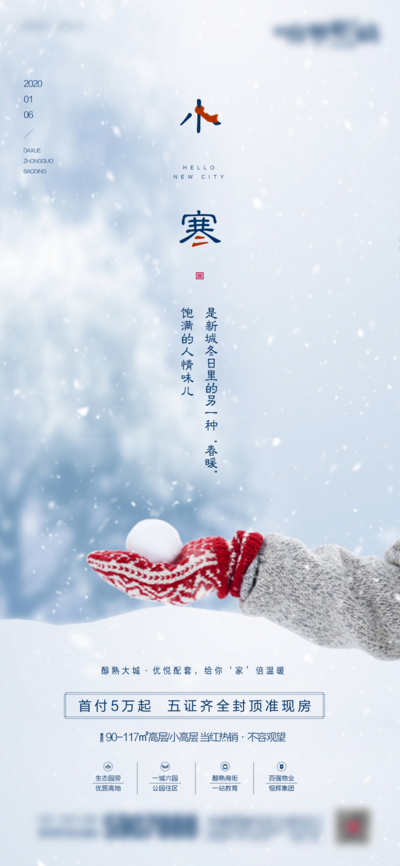 南门网 广告 海报 地产 小寒 节气 大寒 简约 品质 雪球