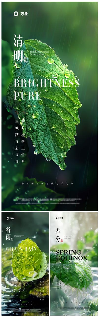 南门网 广告 海报 二十四节气 清明 春分 谷雨 清新 植物 春天