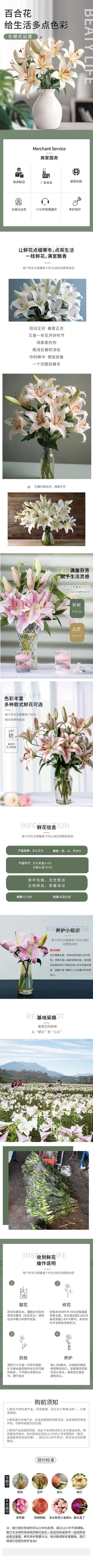 南门网 广告 海报 电商 详情页 百合花 专题 鲜花 盆栽