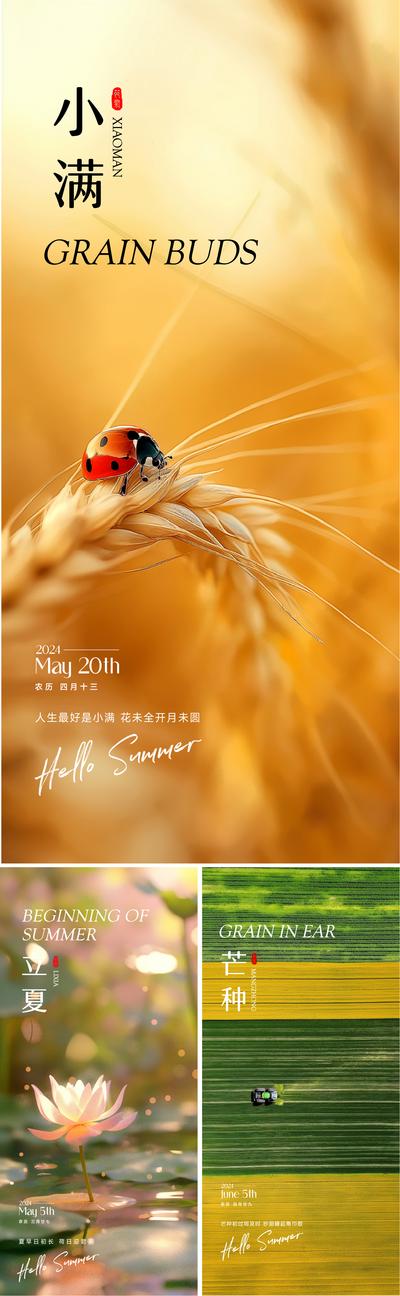 南门网 广告 海报 地产 立夏 二十四节气 小满 芒种 夏天 麦田