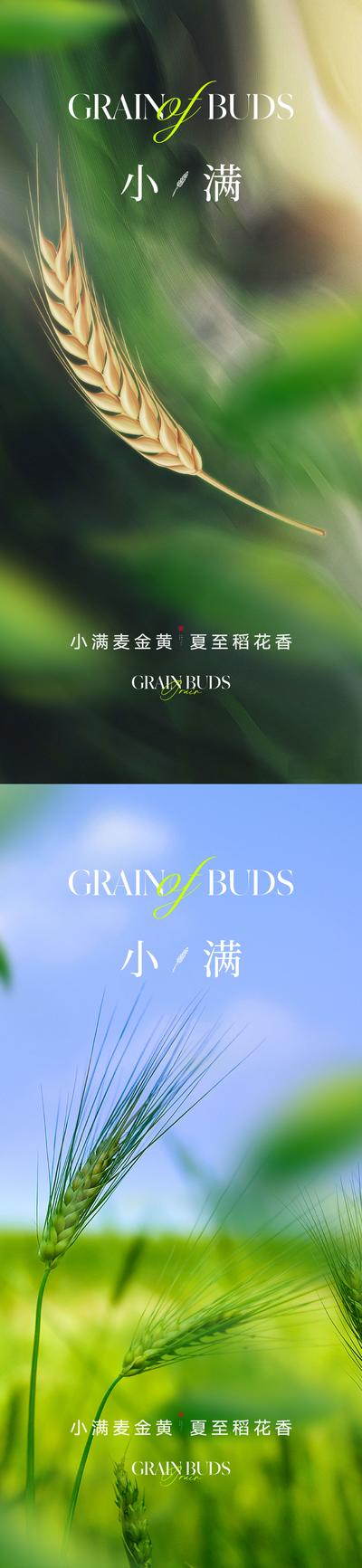南门网 广告 海报 地产 小满 节气 质感 美业 唯美 谷物 麦子 麦穗 成熟 绿色 收获 高级 清新 淡雅 品质