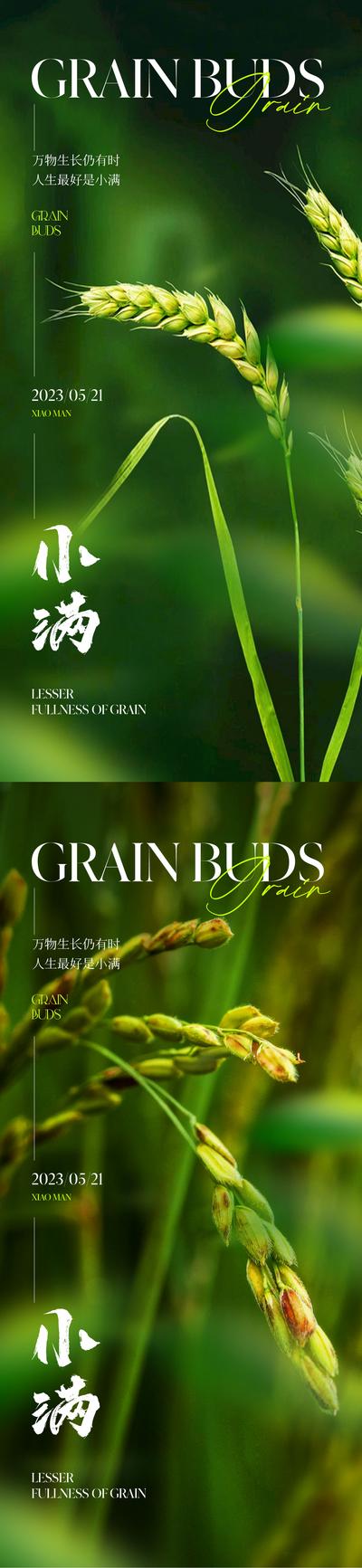 南门网 广告 海报 地产 小满 节气 质感 唯美 麦穗 麦子 小麦 谷物 绿色 清新 淡雅 高级 品质 版式
