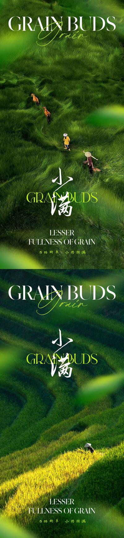 南门网 广告 质感 麦穗 小满 麦子 小麦 谷物 绿色 清新 淡雅 高级 品质 版式 节气