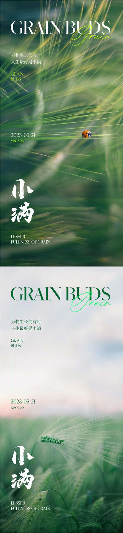 南门网 广告 海报 地产 小满 节气 质感 美业 美图 唯美 清新 高级 品质 麦子 麦穗 谷物
