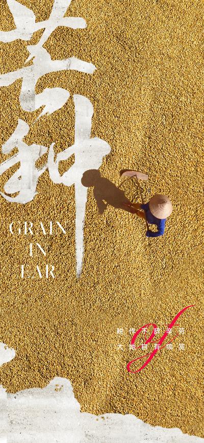 南门网 广告 海报 地产 芒种 医美 节气 质感 创意 美业 唯美 意境 高级 清新 粮食 小麦 抽象 肌理 品质