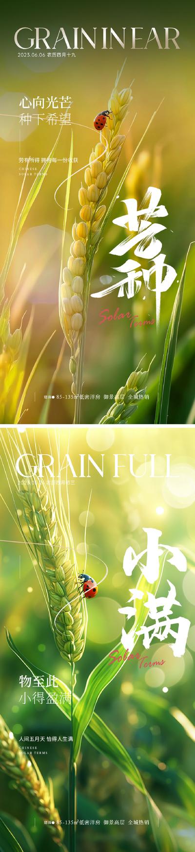 南门网 广告 海报 地产 芒种 二十四节气 小满 麦穗 稻田 梯田 农作 自然