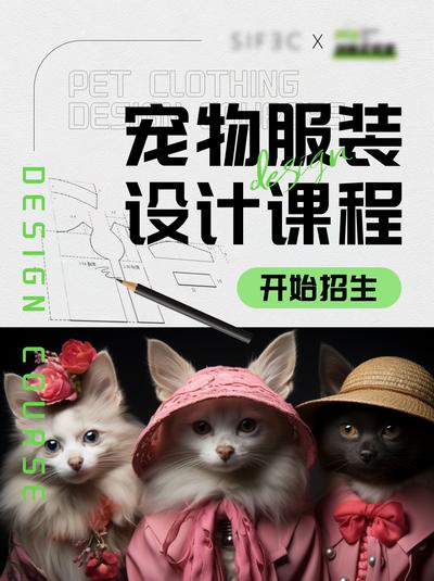 南门网 广告 海报 活动 招生 宠物 课程 猫