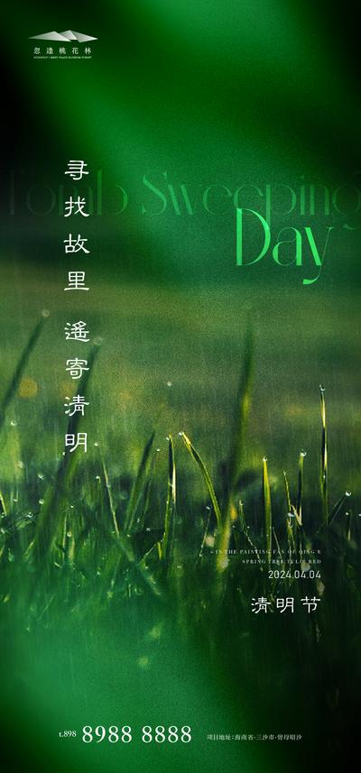 南门网 广告 海报 中式 清明 中国传统节日 清明节 清新 植物 光影 唯美