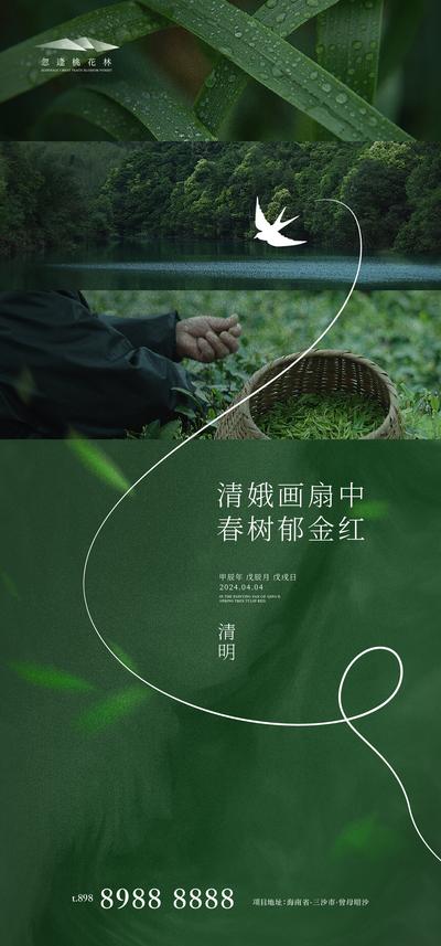南门网 广告 海报 中式 清明 中国传统节日 清明节 清新 植物 光影