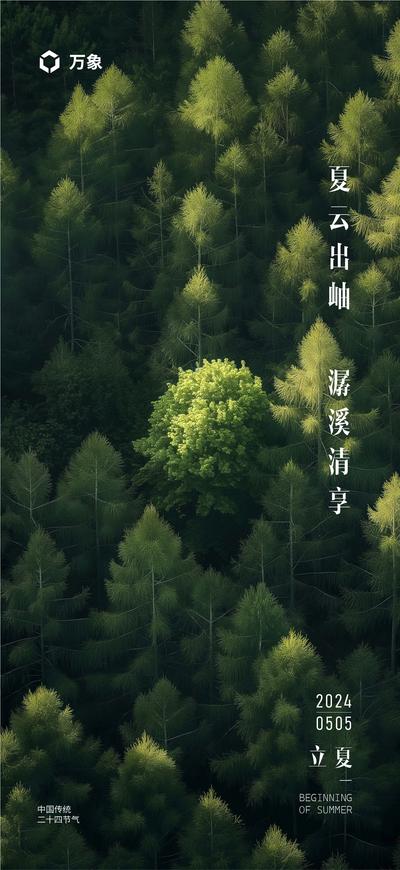 南门网 广告 海报 地产 立夏 二十四节气 夏天 植物 森林 绿色 生态