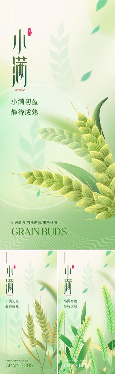 南门网 广告 海报 地产 小满 节气 质感 美业 绿色 麦子 麦穗 稻田 谷物 庄稼 弥散 朦胧 唯美 意境 叶子